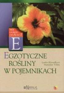 Egzotyczne roliny w pojemnikach - 2825685620