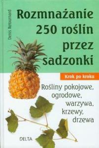 Rozmnaanie 250 rolin przez sadzonki