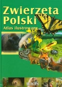 Zwierzta Polski Atlas ilustrowany - 2825685887