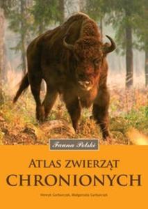 Atlas zwierzt chronionych - 2825686247