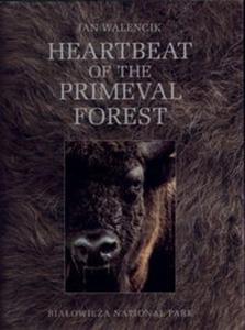 Heartbeat of the Primeval Forest - 2825686514