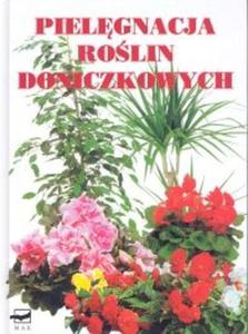 Pielgnacja rolin doniczkowych