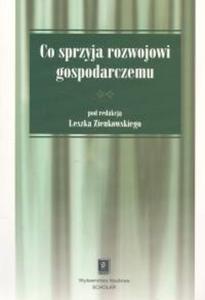 Co sprzyja rozwojowi gospodarczemu - 2825687576