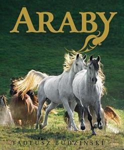 Araby - 2825649752