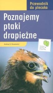 Poznajemy ptaki drapiene