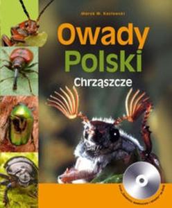 Owady Polski Chrzszcze - 2825689612