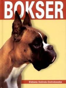 Bokser - 2825650085