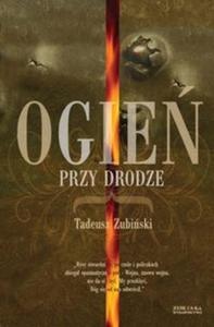 Ogie przy drodze - 2825690844