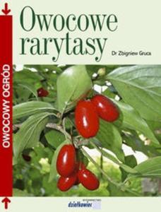 Owocowe rarytasy - 2825691174