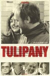 Tulipany - 2825691769