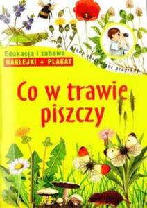 Co w trawie piszczy - 2825650305