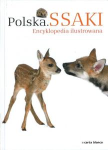 Polska Ssaki Encyklopedia ilustrowana - 2825694004