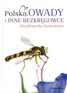 Polska Owady i inne bezkrgowce Encyklopedia ilustrowana