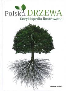 Polska Drzewa Encyklopedia ilustrowana - 2825694006