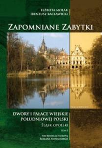 Zapomniane zabytki Dwory i paace wiejskie poudniowej Polski lsk Opolski