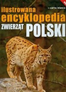 Ilustrowana encyklopedia zwierzt Polski - 2825694599