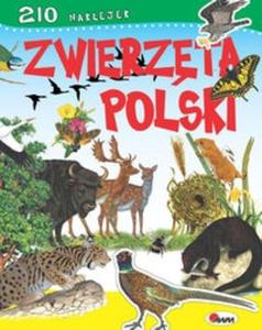 Zwierzta Polski - 2825696197