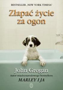 Zapa ycie za ogon