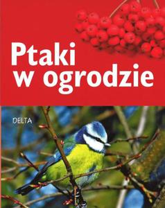 Ptaki w ogrodzie