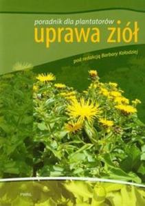 Uprawa zió. Poradnk dla plantatorów