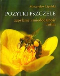 Poytki pszczele - 2825698701