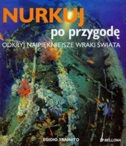 Nurkuj po przygod Odkryj najpikniejsze wraki wiata