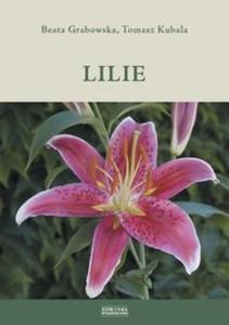 Lilie - 2825699104