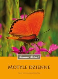 Motyle dzienne - 2825699242