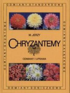 Chryzantemy. Odmiany i uprawa - 2825699429