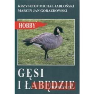 Gsi i abdzie - 2825651066