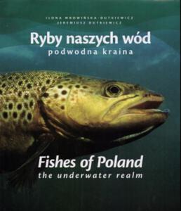 Ryby naszych wd. Podwodna kraina - 2825700346