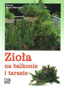 Zioa na balkonie i tarasie - 2825700540