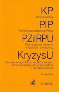 Kodeks Pracy Pastwowa Inspekcja Pracy Promocja zatrudnienia i instytucje rynku pracy Ustawa o...