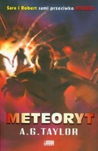 Meteoryt - 2825703176
