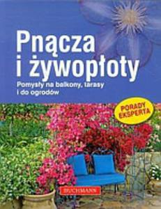 Pncza i ywopoty Pomysy na balkony tarasy i do ogrodw - 2859501627