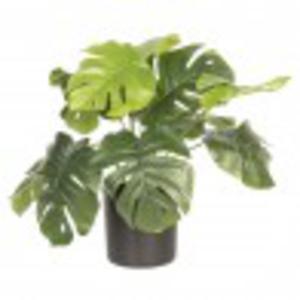 Sztuczna Rolina w Doniczce Monstera B Clayre & Eef - 2871928762