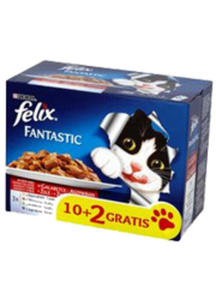 FELIX FANTASTIC  - 2857460522