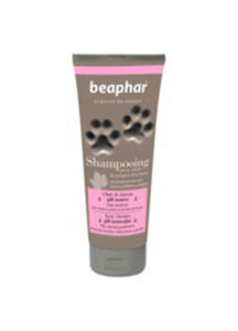 BEAPHAR PREMIUM SZAMPON DLA KOTW 200 ml - 2825198539