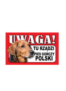 TABLICZKA OSTRZEGAWCZA TU RZDZI PIES GOCZY POLSKI dostpne do wyczerpania zapasw - 2857855469