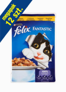 FELIX FANTASTIC  - 2856565720