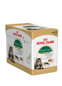 ROYAL CANIN FELINE MAINE COON 12x85 g - 2856155103