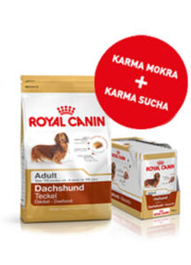 ROYAL CANIN BREED DACHSHUND ADULT ZESTAW 1,5kg+12saszetek - 2854928497