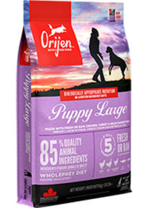 ORIJEN PUPPY LARGE KARMA DLA SZCZENIT RAS DUYCH 6 kg - 2853745919