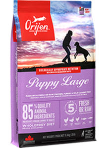 ORIJEN PUPPY LARGE KARMA DLA SZCZENIT RAS DUYCH 11,4kg - 2857855612