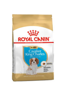 ROYAL CANIN BREED CAVALIER KING CHARLES PUPPY dost - 2858402461