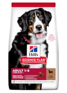 HILLS SCIENCE PLAN CANINE ADULT LARGE SUCHA KARMA DLA PSA z jagnicin i ryem 14 kg - 2860439251