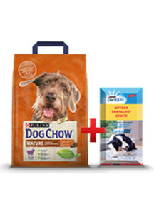 DOG CHOW MATURE ADULT 5+ Z JAGNIECIN - 2860438487