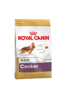 ROYAL CANIN BREED COCKER ADULT dostÃÂpne do wyczerpania zapasÃÂ³w...