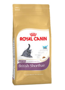 ROYAL CANIN FELINE BREED BRITISH SHORTHAIR KITTEN 400 g - 2850627997