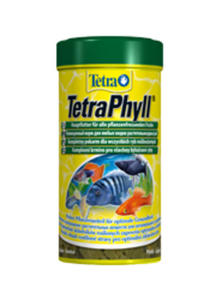 TETRA PHYLL  - 2833968911